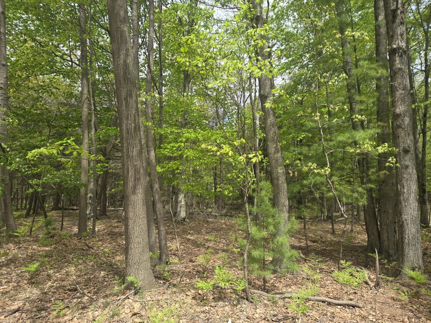 Walking distance to Cedar Point Park and Lake Michigan! Own your - Beach Acreage for sale in Mears, Michigan on Beachhouse.com