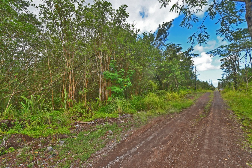 $87,500 for a 2-Acre parcel in Orchid Land Estates. LOT#46 - Beach Acreage for sale in Keaau, Hawaii on Beachhouse.com