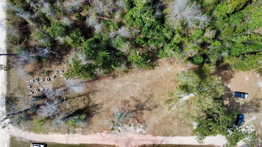 Discover the charm of Wewahitchka with this spacious half acre - Beach Lot for sale in Wewahitchka, Florida on Beachhouse.com