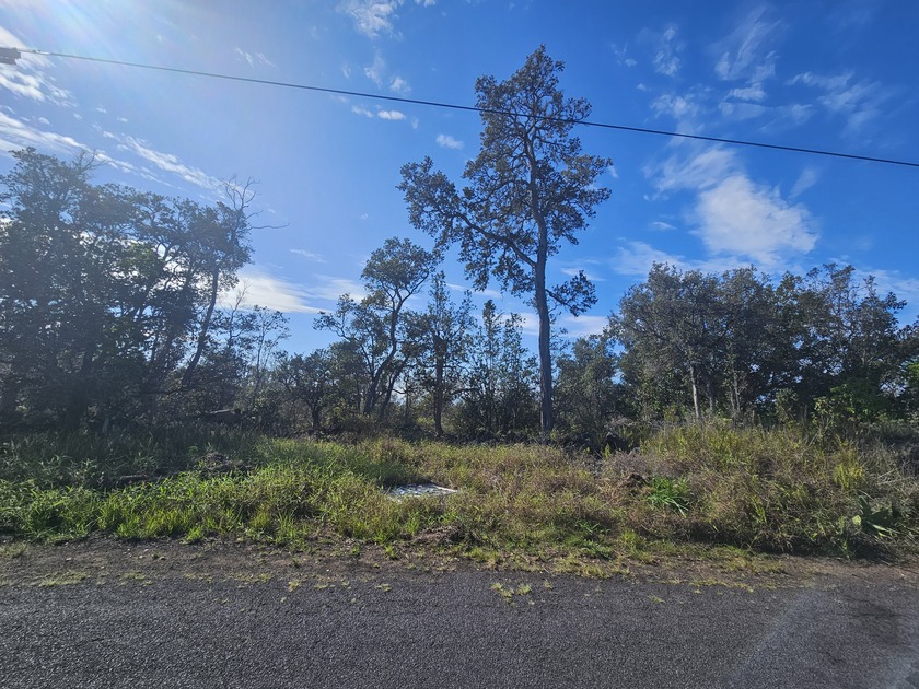 Beautiful lot nestled in an ohia forest located in the lower - Beach Lot for sale in Ocean View, Hawaii on Beachhouse.com