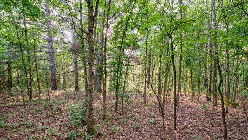 Welcome to your dream homesite in Grand Haven Township! Nestled - Beach Acreage for sale in West Olive, Michigan on Beachhouse.com