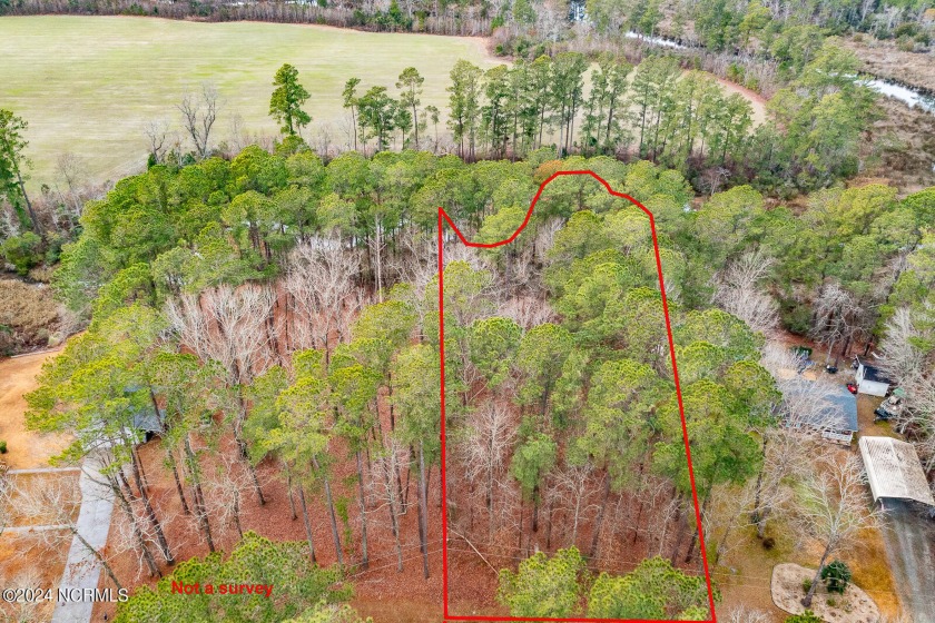 Build your home and live on nearly an acre of Marsh front land - Beach Lot for sale in Arapahoe, North Carolina on Beachhouse.com