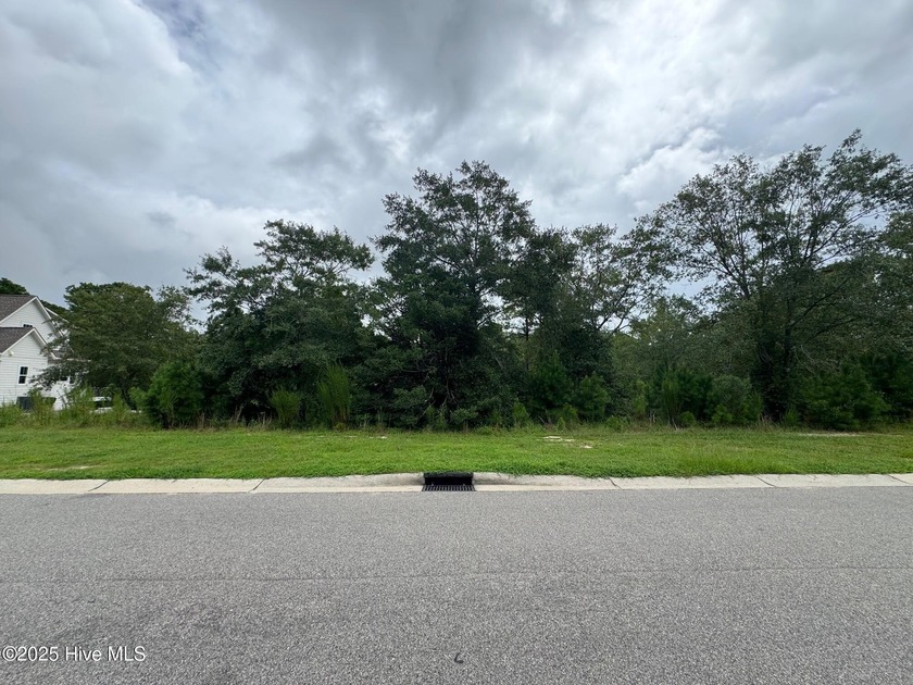 This beautiful lot backs up to green space and a creek. Located - Beach Lot for sale in Leland, North Carolina on Beachhouse.com