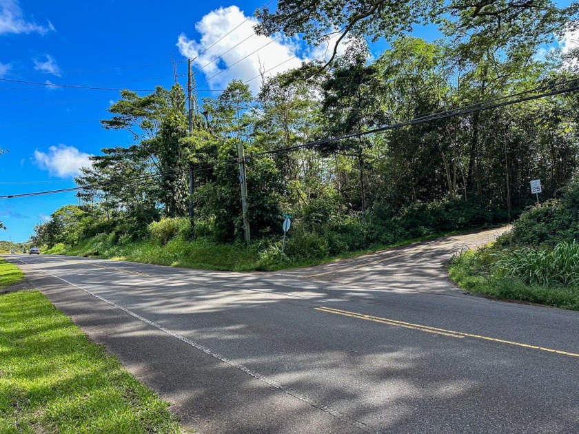 This is a great opportunity to own 81 acres of A-20A land just 3 - Beach Acreage for sale in Pahoa, Hawaii on Beachhouse.com