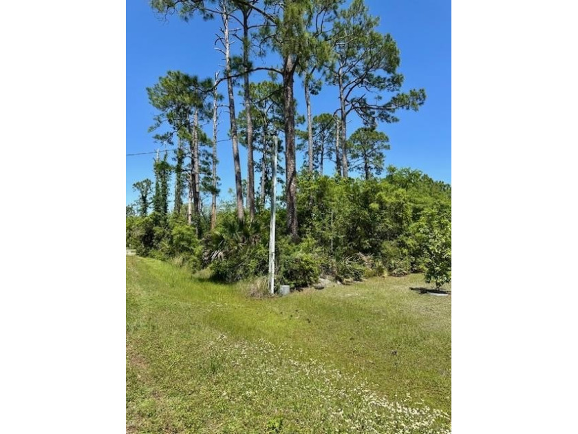 Large RV approved lot! Enjoy stunning sunsets and views of St - Beach Lot for sale in Port St Joe, Florida on Beachhouse.com