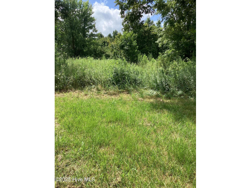 Prime Commercial Investment Opportunity - 2.5 Acres Zoned - Beach Acreage for sale in Moyock, North Carolina on Beachhouse.com