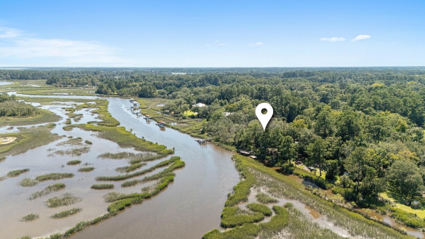 Nestled beneath live oaks on just under an acre, this fully - Beach Home for sale in Hollywood, South Carolina on Beachhouse.com