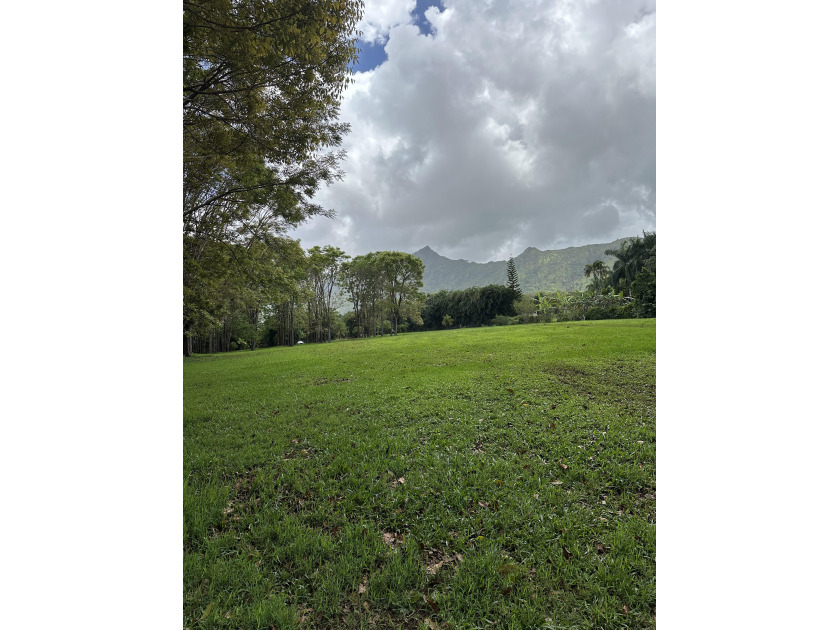 This 5.5 acre parcel of land on the beautiful north shore of - Beach Acreage for sale in Kilauea, Hawaii on Beachhouse.com