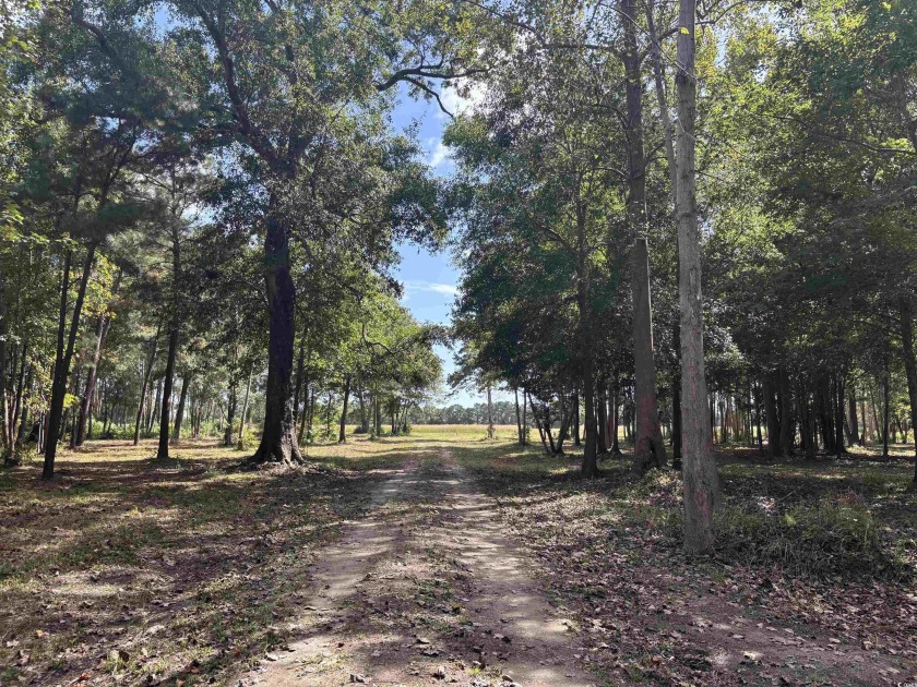 A rare opportunity to own 55 acres of pristine land with - Beach Acreage for sale in North Myrtle Beach, South Carolina on Beachhouse.com
