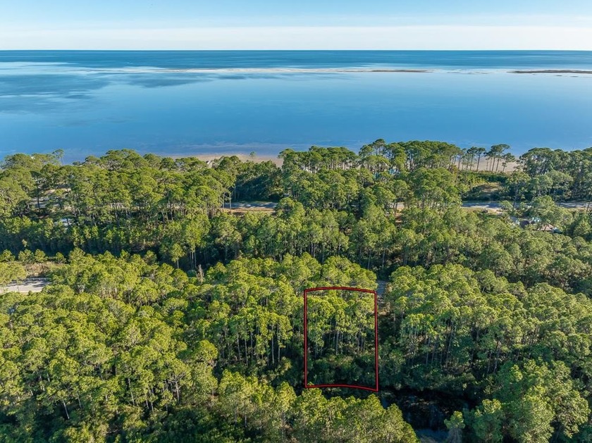 This property is the perfect setting for your dream home, with - Beach Lot for sale in Carabelle, Florida on Beachhouse.com