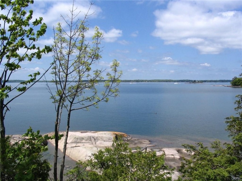 Grindstone Island property, consisting of 50 acres with - Beach Acreage for sale in Clayton, New York on Beachhouse.com