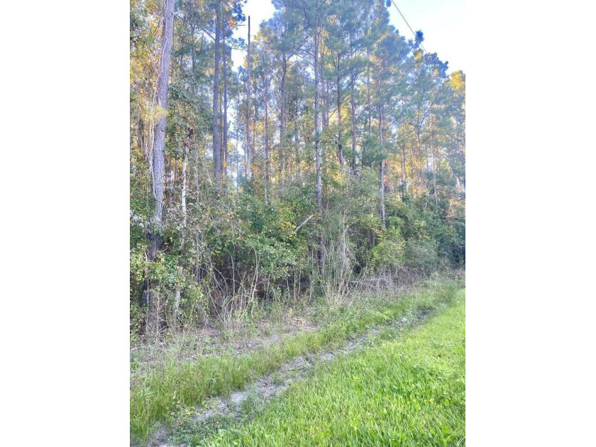 Within walking distance to the river, great boat ramp @ Bryants - Beach Lot for sale in Wewahitchka, Florida on Beachhouse.com