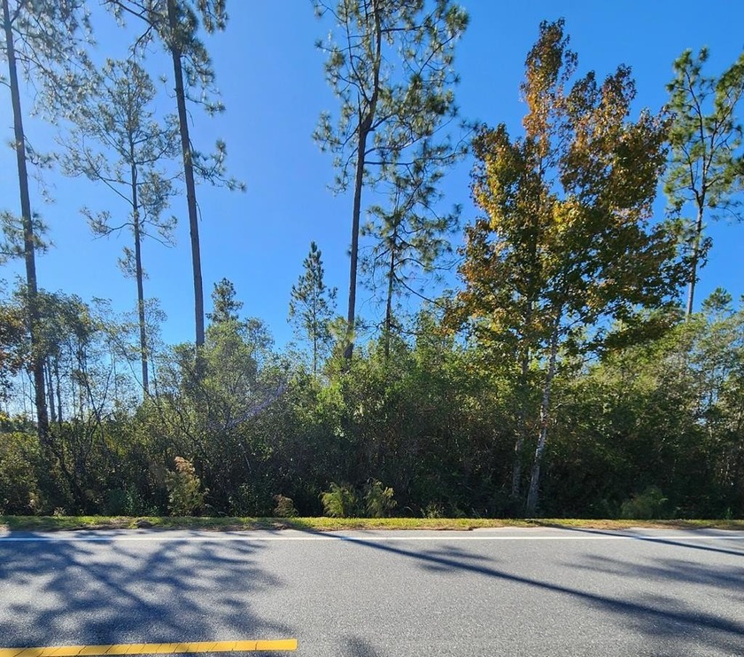 Welcome to Howards Creek! This 0.50-acre wooded lot is ready for - Beach Lot for sale in Wewahitchka, Florida on Beachhouse.com