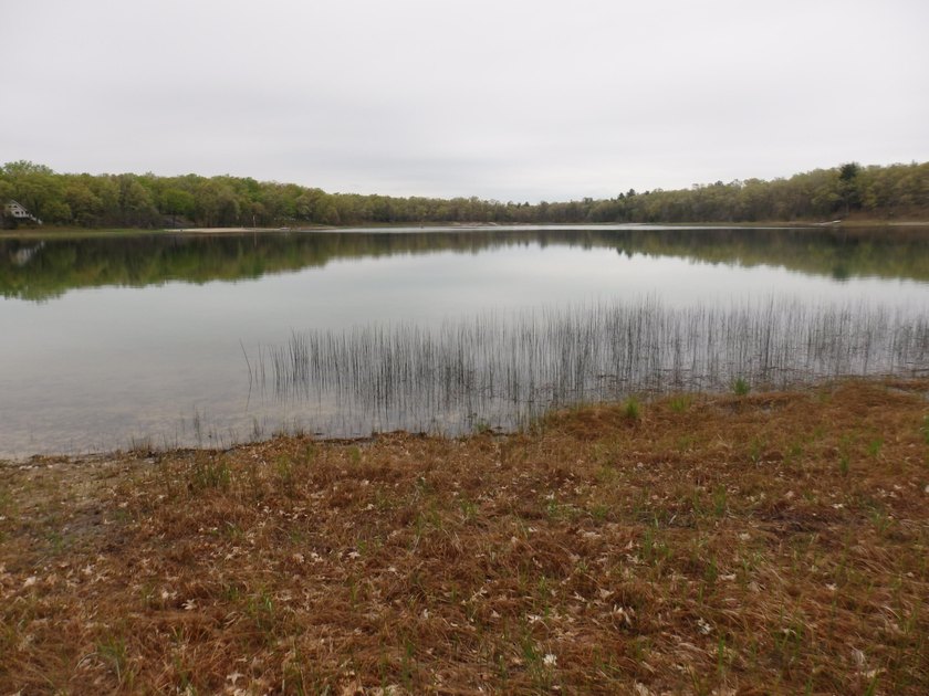 Gorgeous lake front lot on Hoags Lake with 200 ft of frontage - Beach Lot for sale in Free Soil, Michigan on Beachhouse.com