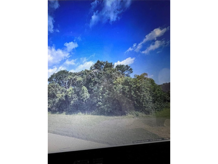 THIS PRIME LOT IS ON THE PRICE BOULEVARD, A STRIP FILLED WITH - Beach Lot for sale in North Port, Florida on Beachhouse.com