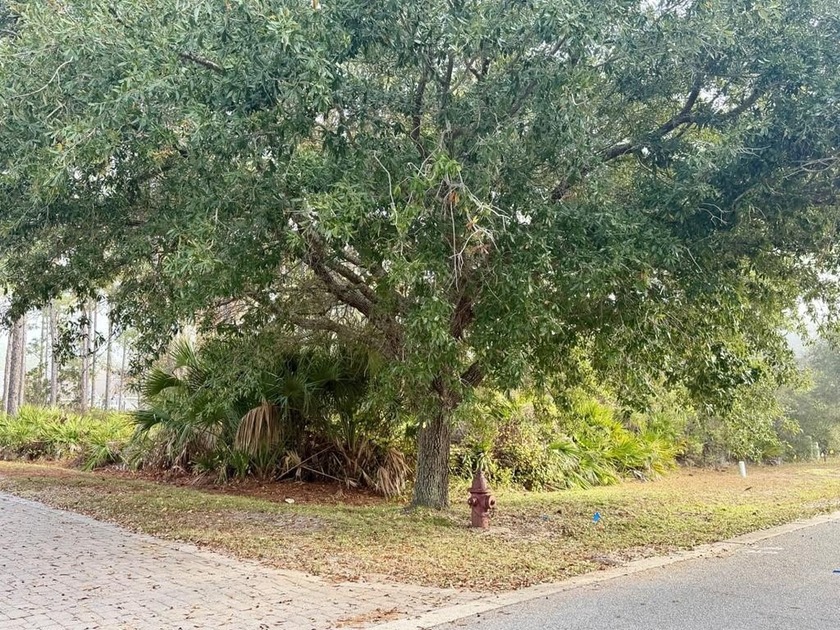 This is a single family home lot situated in a very desirable - Beach Lot for sale in Port St Joe, Florida on Beachhouse.com
