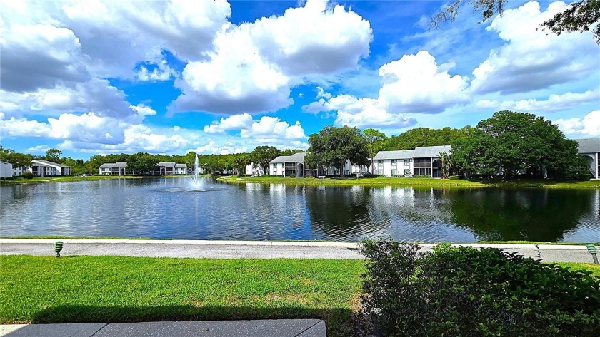 Discover unparalleled value in Eastlake with stunning water - Beach Condo for sale in Tarpon Springs, Florida on Beachhouse.com