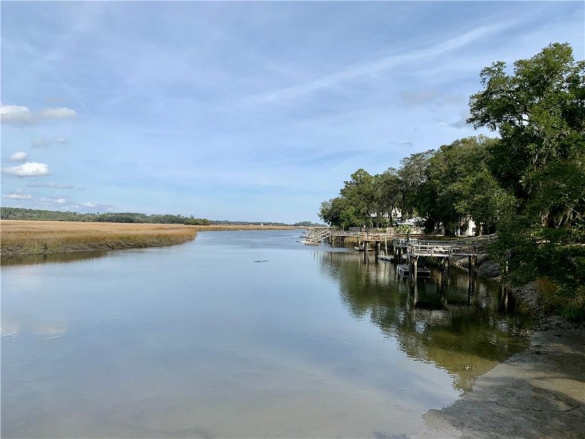 Marsh Front Coastal Living! Come build your dream house on this - Beach Lot for sale in Darien, Georgia on Beachhouse.com