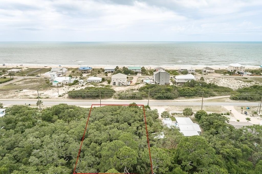 Design your own  Tree House on this special lot with canopied - Beach Lot for sale in St. George Island, Florida on Beachhouse.com
