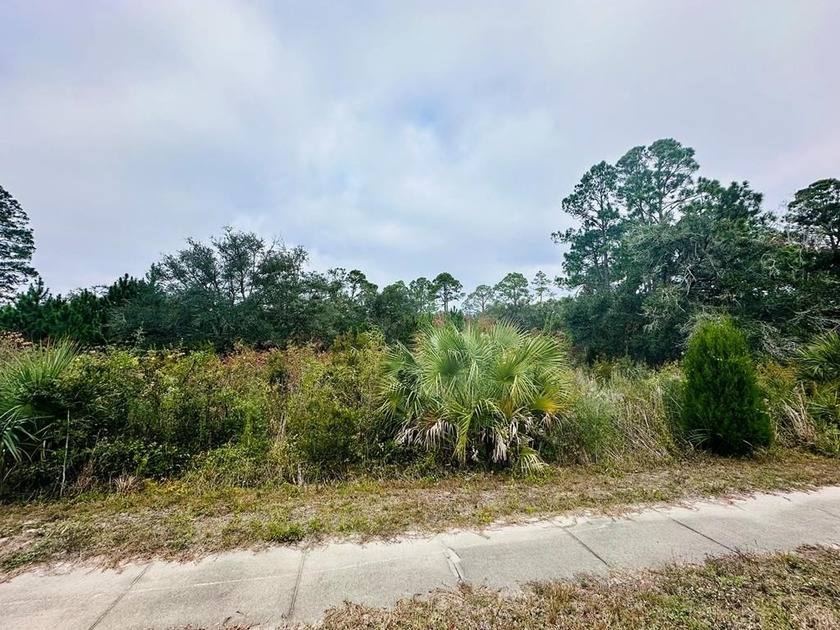 Discover this exceptional lot on Ryan Drive, perfectly situated - Beach Lot for sale in Carabelle, Florida on Beachhouse.com