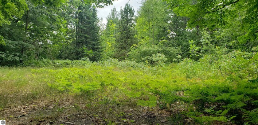 Buildable parcel near Birch Lake. Short distance to Birch Lake - Beach Lot for sale in Kewadin, Michigan on Beachhouse.com