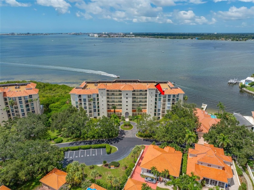 Now being offered for the very first time!  An exceptionally - Beach Condo for sale in St. Petersburg, Florida on Beachhouse.com