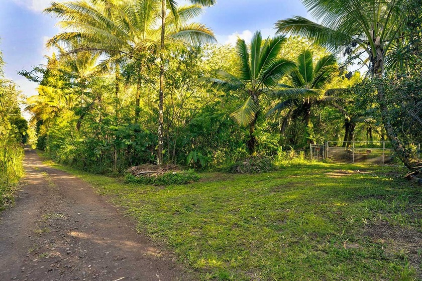3 Acres of Lush Land in Sunny Kapoho - Papaya Farms Road, Pahoa - Beach Acreage for sale in Pahoa, Hawaii on Beachhouse.com