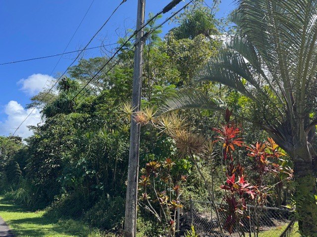 Located in the desirable Hawaiian Shores Recreational Estates - Beach Lot for sale in Pahoa, Hawaii on Beachhouse.com