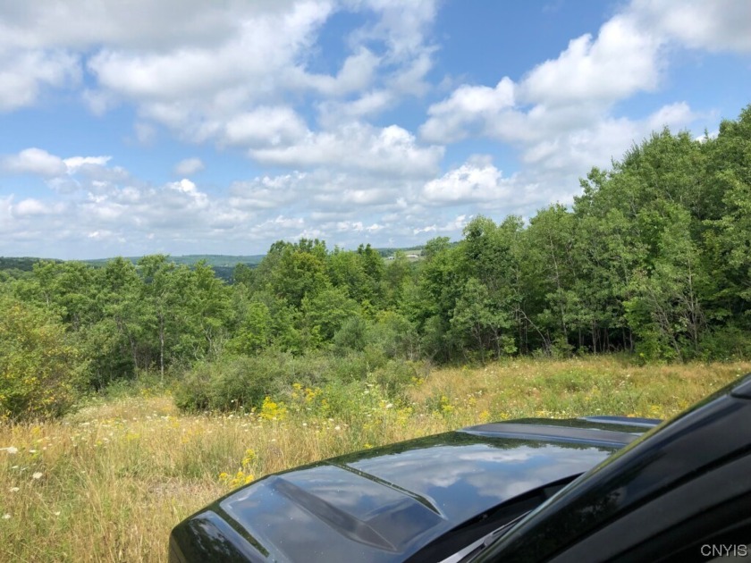 58 acres of privacy and pleasure with gorgeous sites for a - Beach Acreage for sale in Triangle, New York on Beachhouse.com