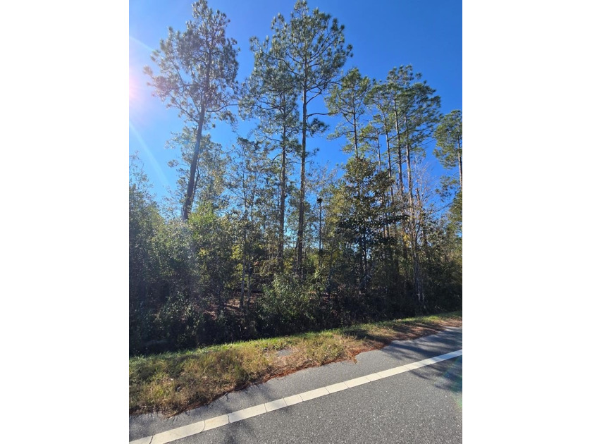 Welcome to Howard Creek!  This 0.50-acre wooded lot is ready for - Beach Lot for sale in Wewahitchka, Florida on Beachhouse.com