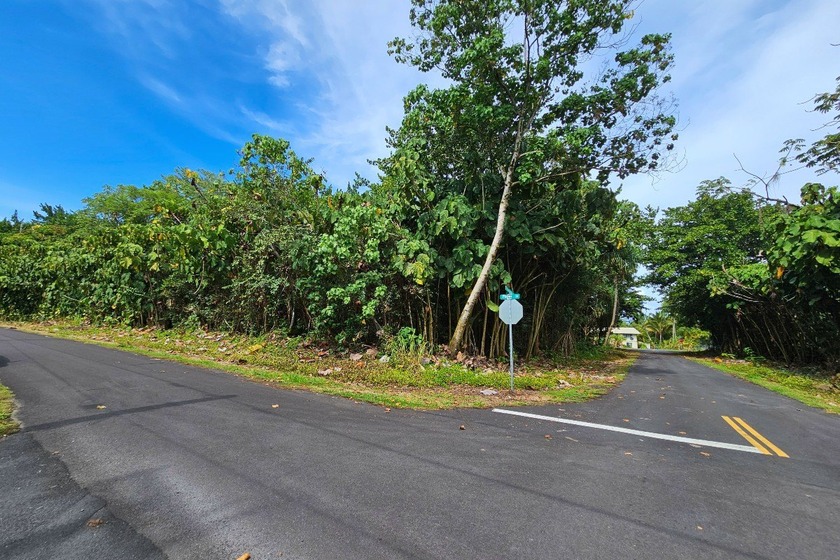 Rare opportunity to own a collection of eight lots near the - Beach Lot for sale in Pahoa, Hawaii on Beachhouse.com