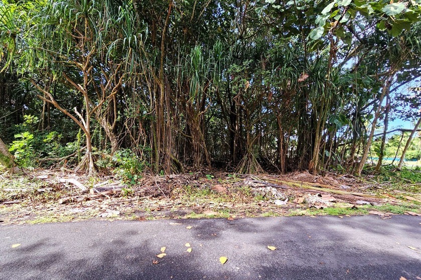 Rare opportunity to own a collection of eight lots near the - Beach Lot for sale in Pahoa, Hawaii on Beachhouse.com