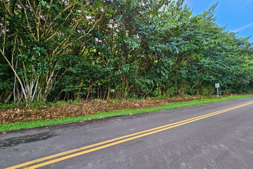 Rare opportunity to own a collection of eight lots near the - Beach Lot for sale in Pahoa, Hawaii on Beachhouse.com