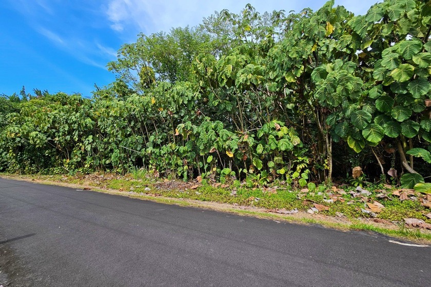Rare opportunity to own a collection of eight lots near the - Beach Lot for sale in Pahoa, Hawaii on Beachhouse.com