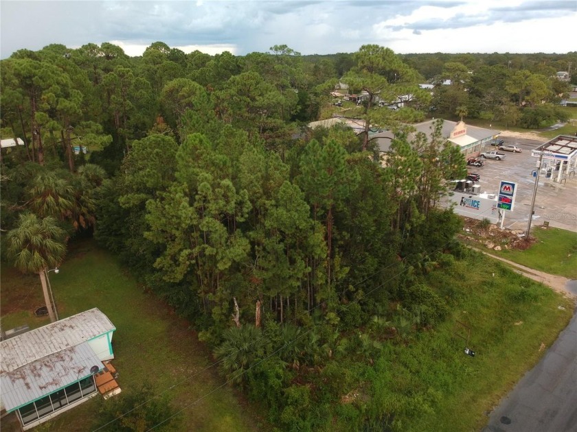 Price Improvement - Now Only $151,200
Prime 0.3-Acre Mixed-Use - Beach Lot for sale in Steinhatchee, Florida on Beachhouse.com