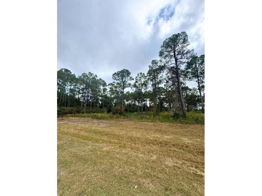 Discover the perfect canvas for your coastal dream home on this - Beach Lot for sale in Eastpoint, Florida on Beachhouse.com