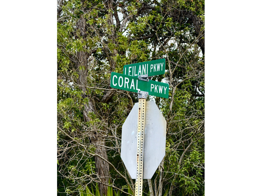 GREAT LOCATION - Tucked away in the lush green belt of Ocean - Beach Lot for sale in Ocean View, Hawaii on Beachhouse.com