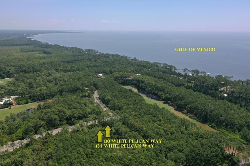 Presenting TWO contiguous lots (Lots 130 & 134) nestled within - Beach Lot for sale in Carabelle, Florida on Beachhouse.com