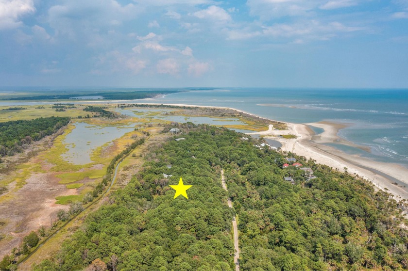 Just over 2 acres of peaceful serenity, surrounded by nature - Beach Lot for sale in Dewees Island, South Carolina on Beachhouse.com