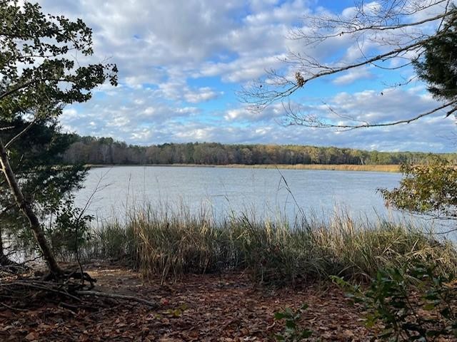 Tired of looking for waterfront homes and can't find what you - Beach Lot for sale in Gloucester, Virginia on Beachhouse.com