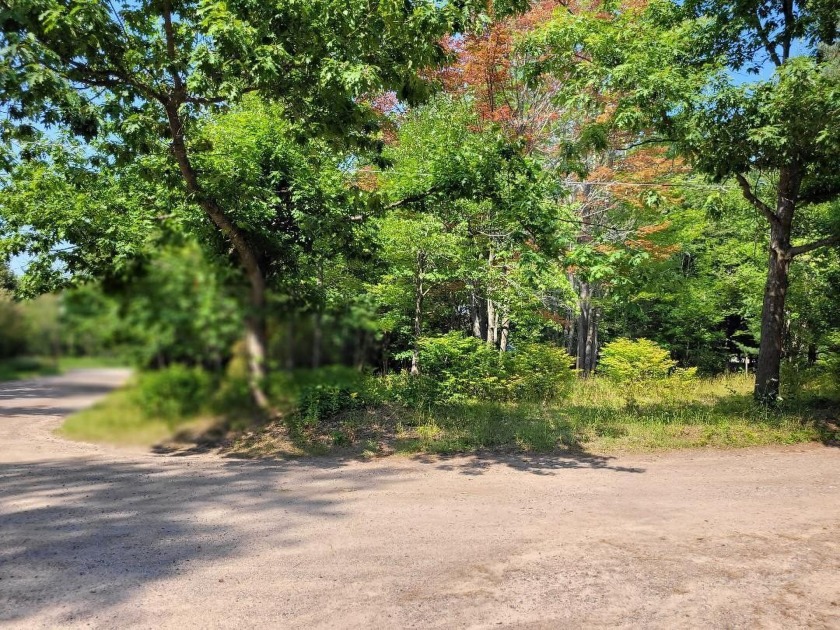 Looking for a sweet spot to build.  Parcel has some woods - Beach Lot for sale in Sault Sainte Marie, Michigan on Beachhouse.com