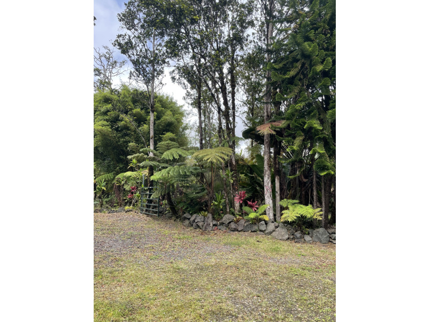 This lush lot in Fern Forest Estate is just a short drive off of - Beach Acreage for sale in Volcano, Hawaii on Beachhouse.com