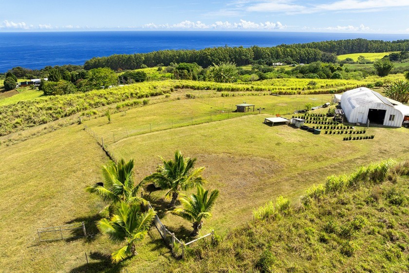 PMM AVAILABLE! SELLERS ARE MOTIVATED...ENJOY THE VIDEO! Your - Beach Home for sale in Papaaloa, Hawaii on Beachhouse.com