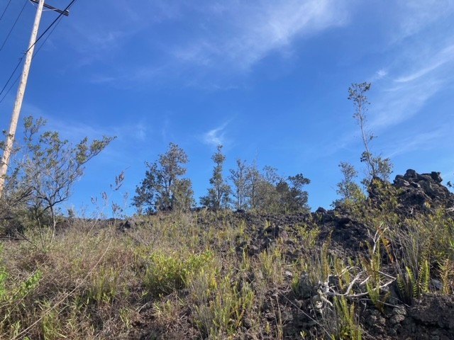 Hawaiian Ocean View Estates - nicely wooded lot with great ocean - Beach Lot for sale in Ocean View, Hawaii on Beachhouse.com