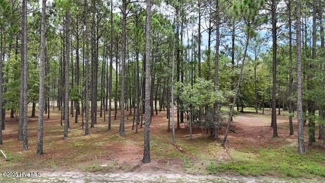 Discover the perfect setting for your dream home on this - Beach Lot for sale in Ocean Isle Beach, North Carolina on Beachhouse.com