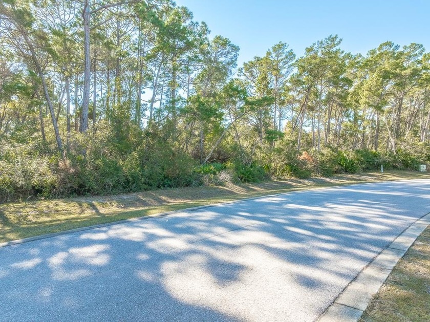 Build your custom coastal home in this gated community offering - Beach Lot for sale in Eastpoint, Florida on Beachhouse.com