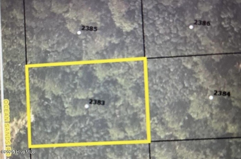 Discover this wooded lot in the sought- after 4x4 access of - Beach Lot for sale in Corolla, North Carolina on Beachhouse.com