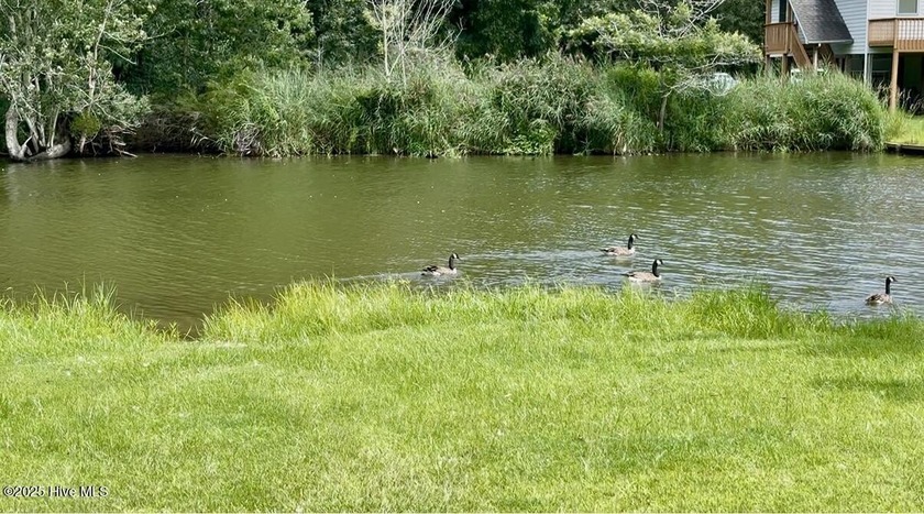 Canal-front lot measuring 70' x 179' (on GIS) in Holiday Island - Beach Lot for sale in Hertford, North Carolina on Beachhouse.com