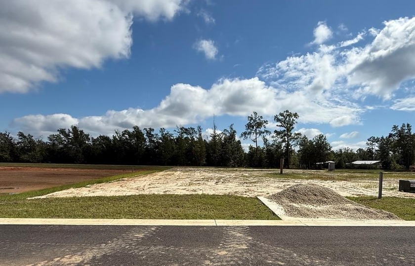Our Town RV Estates is an upscale RV friendly community located - Beach Lot for sale in Wewahitchka, Florida on Beachhouse.com