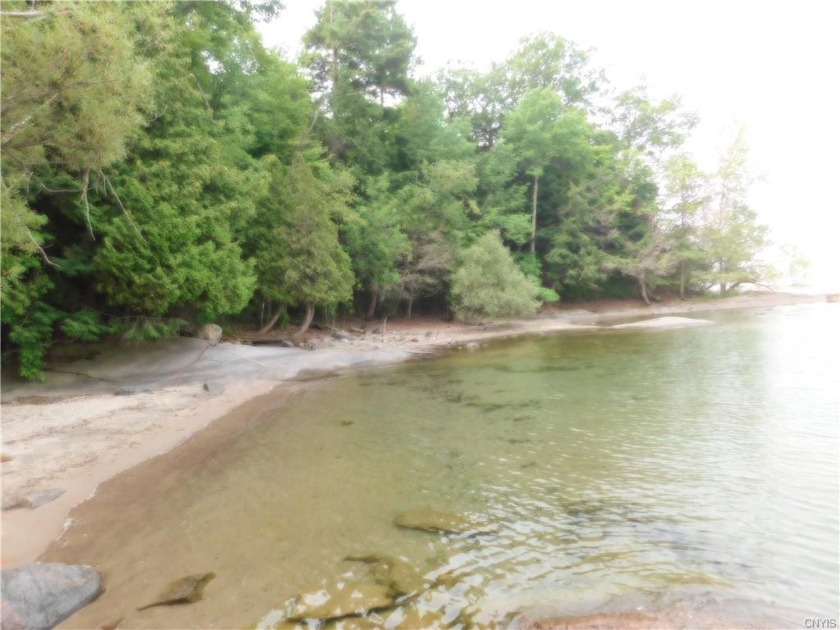 Grindstone Island property, consisting of 50 acres with - Beach Acreage for sale in Clayton, New York on Beachhouse.com